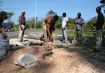 Obreros cubanos de la construccion. (Foto: Raquel Pérez)