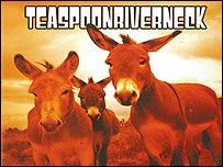 Teaspoonriverneck album cover