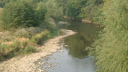 Afon Hafren yn Dre Newydd