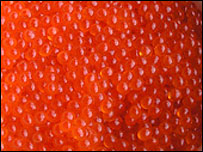 Caviar