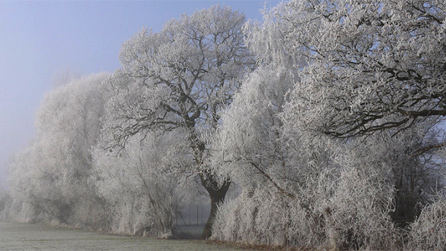 Hoar Frost in Rossett and plenty of mist today. Photo by Lisa Jones