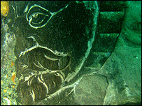 The 'merman' recovered from the Swash wreck