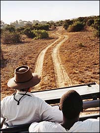 Tourists in a jeep on safari