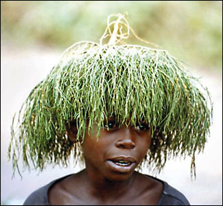 A young boy uses an uprooted plant as headgear