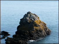 La Crete outcropping