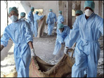 बर्ड फ्लू से बचाव की कोशिश