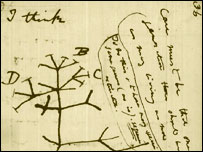 Darwin'in yaşam ağacı