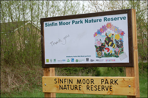 08 Sinfin Moor Nature Reserve - Saturday