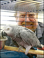 Dr Glyn Heath checks in on George