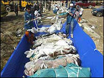 Các nạn nhân tại Khao Lak, Thái Lan