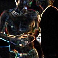 समलैंगिक जोड़ा