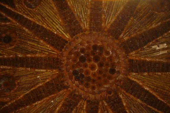 Bavarian ceiling