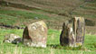 Cerrig Arthur stones