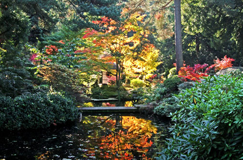 The Japanese Tea House at Tatton Park