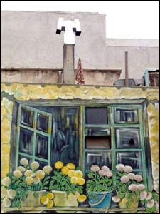 عکس ازمحمد نیک عهد