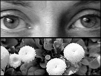 Posters foram usados em cantina da universidade