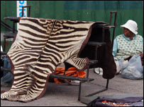 Tapete de pele de zebra