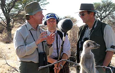 Recording meerkats in the Kalahari