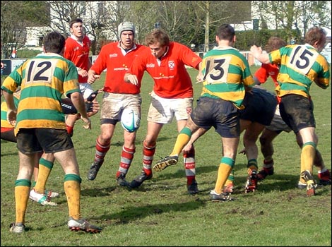 Jersey Rugby Team