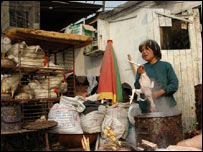 Cảnh chăn nuôi gia cầm tại Trung Quốc