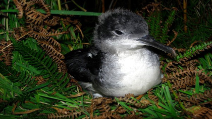 BBC Radio Foyle - Breathing Places Gallery