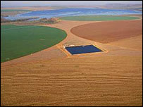 Brazil memiliki lahan pertanian kedelai sangat luas