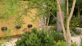 The award winning Daily Telegraph Garden at Chelsea Flower Show 2011