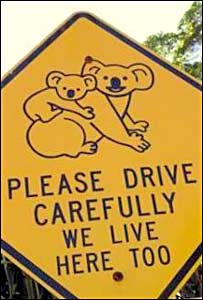 सड़क सुरक्षा ज़रूरी है