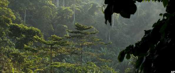 Kakum National Park, Ghana