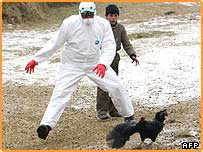 آنفلوانزای مرغی در ترکيه