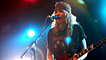 Ladyhawke