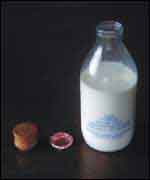 Milk Bottle