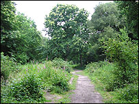 RSPB Reserve at Stour Wood near Manningtree