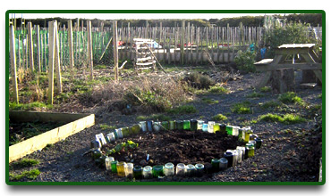 The Allotment in April