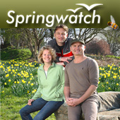 BBC Springwatch