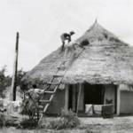 Repairing damage to a gida after a storm Repairing damage to a gida after a storm