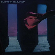 Review of Dreamless Sleep