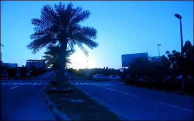 عکس از سارا