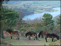 Wimbleball Lake on Exmoor