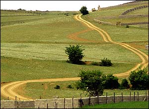 افشين امامی