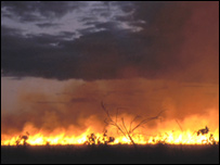 Queimada na Amazônia (foto: Haroldo Castro)