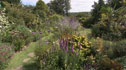 Sue Baines's garden
