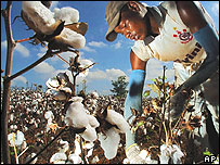 ڈبلیو ٹی او مذاکرات