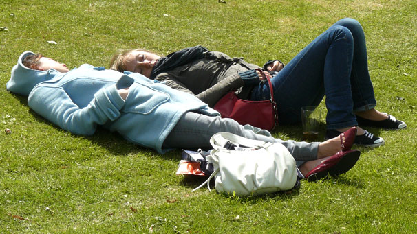 The hustle and bustle of the showground proves to be a bit too much for these visitors.