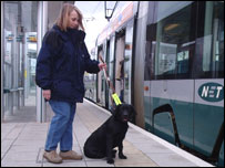 Moby the guide dog next to a tram