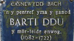 Cofeb i Barti Ddu yn Nghasnewydd Banch
