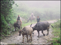 Nhiều tác phẩm của Nguyễn Huy Thiệp lấy khung cảnh là vùng miền núi Việt Nam 
