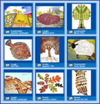 Screenshot of the gallery page