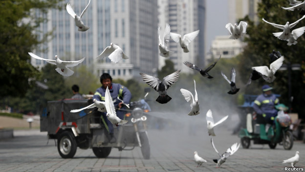 中国清洁工人在公园里为禽类做清理