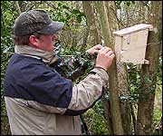 Putting up a dormouse box